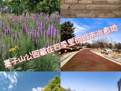 -莫子山公园