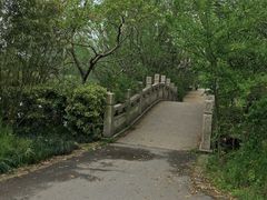 -新江湾城公园