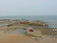 android_upload_pic-日照世帆赛基地