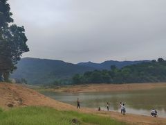 -东莞市大岭山森林公园