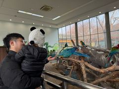 -无锡动物园·太湖欢乐园