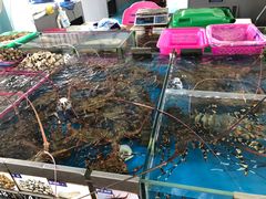 -亚龙湾8号(丁村万人海鲜广场店)