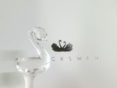 -BLACKSWAN黑天鹅(环球店)