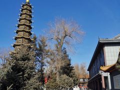 -哈尔滨极乐寺