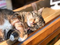 -猫的天空之城概念书店(杭州南宋御街店)