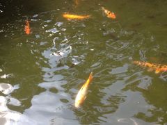 iphone_upload_pic-东莞市可园博物馆