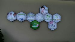 -莱可美科技美肤