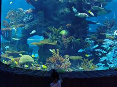 -多彩贵州城极地海洋世界