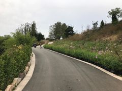 -雪山彩虹谷景区
