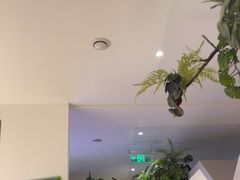 -有位虾匠·香辣蟹·小龙虾(李村店)