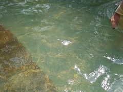 -三江森林温泉度假区