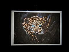 -罗红摄影艺术馆