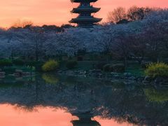 -火锅岛潮牌自助餐厅(天津天佑城店)