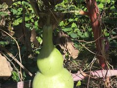 -中国国际会展中心-马甸购物街