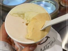 -Dip in Gelato(富民路店)