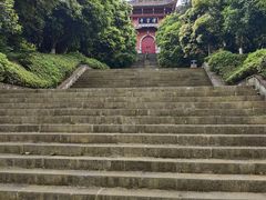 -铁山坪森林公园