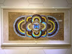 上海昆虫博物馆-上海昆虫博物馆