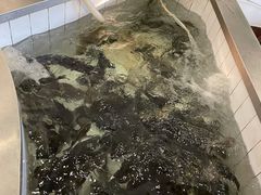 -宏顺佰渔庄(松花湖店)