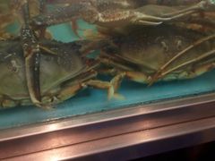 -盒马鲜生(宝地店)