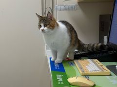 -芭比堂动物医院·CT·微创中心(新顺分院)