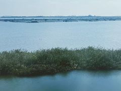 -莲花岛景区
