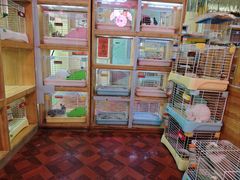 -宠物兔专门店(天丰利市场店)