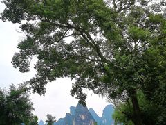 -明仕田园