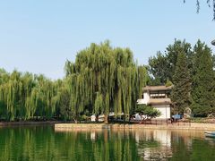 -团结湖公园