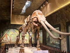 -白帝城·瞿塘峡景区