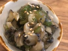-一本钓鲔鱼屋