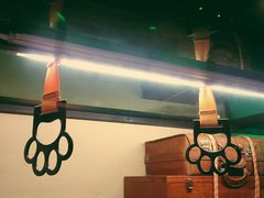 -猫咪博物馆(顶澳仔猫街店)