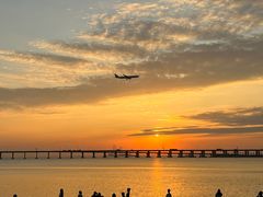 -宝安西湾红树林湿地公园