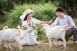 -经典婚纱摄影美学馆·私人定制