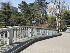-团结湖公园