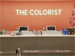 -THE COLORIST调色师