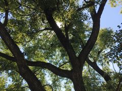 -湖北美术学院(昙华林校区)