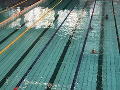 -南山文体中心-游泳馆