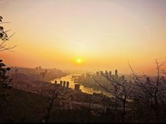 -南山植物园