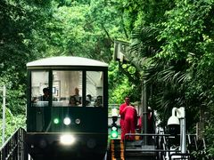 -尼依格罗香港美利酒店