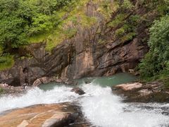 -广州白江湖森林公园