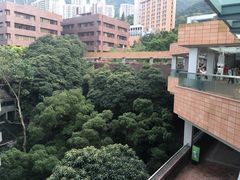 -香港大学