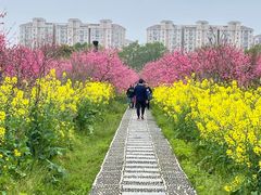 -南汇桃花村