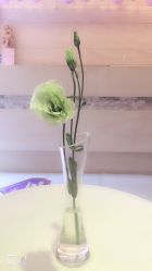 -女王传奇SPA·美容美体