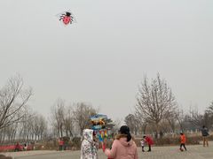 -绿堤公园