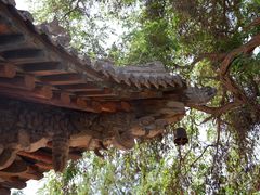 -张掖大佛寺景区