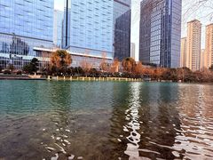 -天鹅湖体育公园