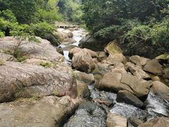 -广州白江湖森林公园