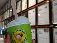 -Dooley's Premium Ice Cream