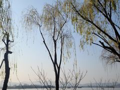 -柳浪闻莺公园