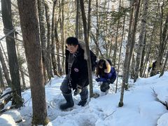 -峡谷浮石林景区